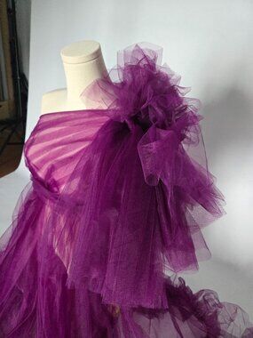 Photoshoot ready asymmetrical sheer gown